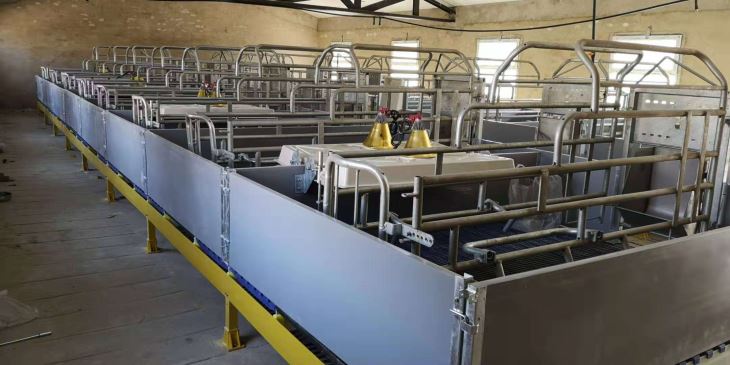 Cho'chqa fermasi Farrowing Crate qurilish polini ishlatish